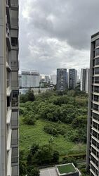 Rivercove Residences (D19), Condominium #517179281
